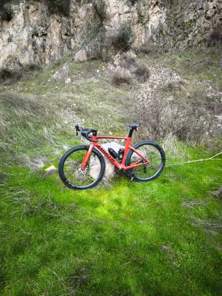 Bicicleta de carretera lobito rv10 carbono