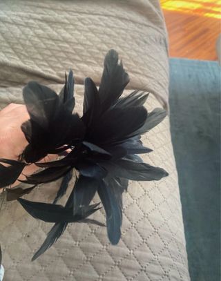 Piume nere per artigianato 13-18 cm