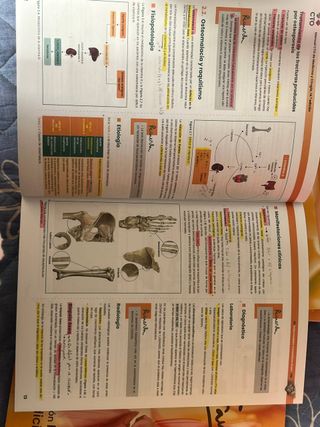 manuales CTO 14 edicion