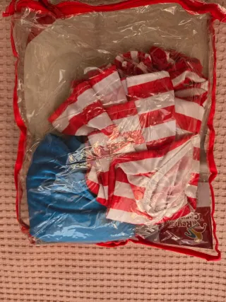 Disfraz Wally adulto El Rey del Carnaval Talla M/L