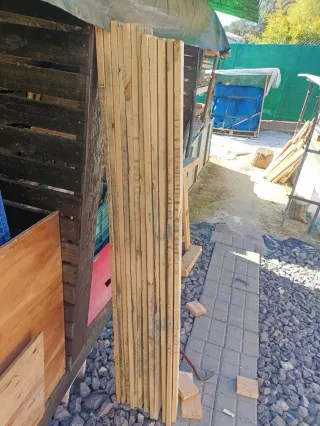 Lote de tablas de pino