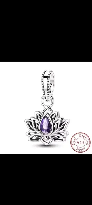 Lote 4 Charms Plata Ley 925