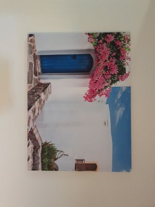 Cuadro Decorativo Puerta Azul Flores Rosas