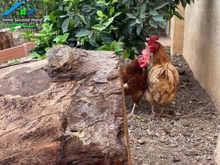 Casa rural en alquiler en Barrio de la Concepción en Cartagena