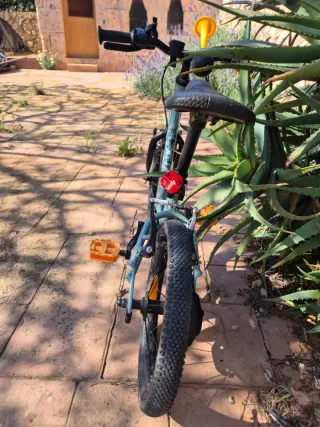 Bicicleta infantil 14'' 3-5 años Discover 900