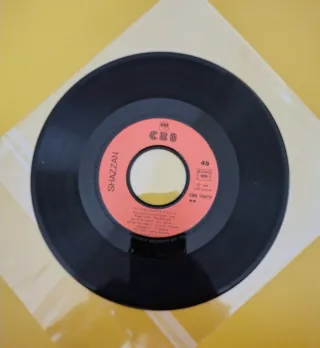 *Rarità* Disco 45 giri Shazzan - Nos amis de la Té