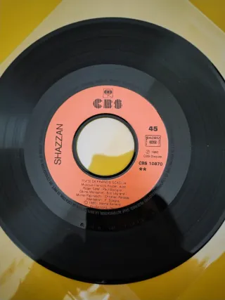 *Rarità* Disco 45 giri Shazzan - Nos amis de la Té