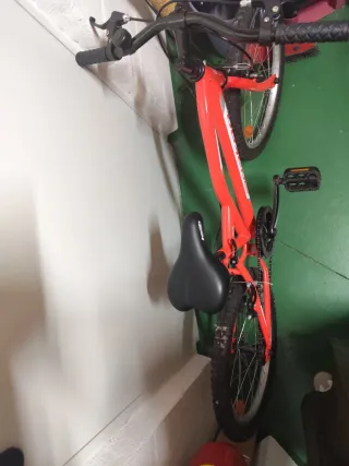 Bicicleta Infantil 20 Roja