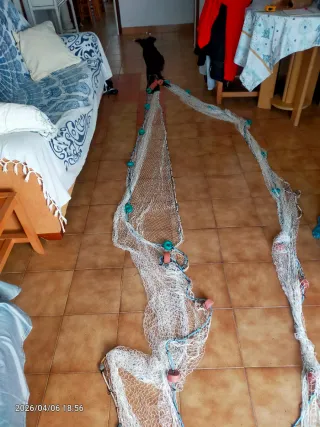 Red de pesca Boliche/Chinchorro 6m
