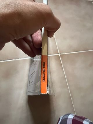 Guía Grandia III BradyGames (PS2)