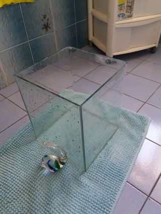 recipiente 24x25x29cm 17L usabile come acquario