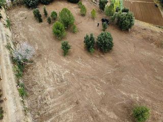 Terreno en alquiler en Calella