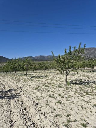 Terreno en venta en Mula