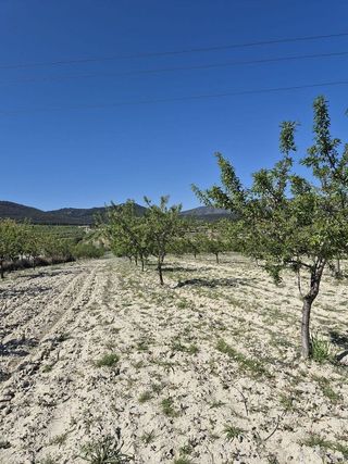Terreno en venta en Mula