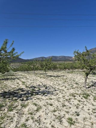 Terreno en venta en Mula
