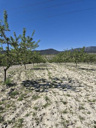 Terreno en venta en Mula