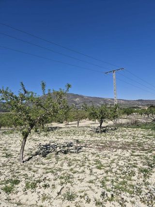 Terreno en venta en Mula