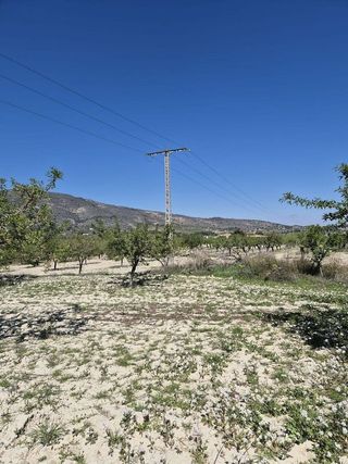 Terreno en venta en Mula