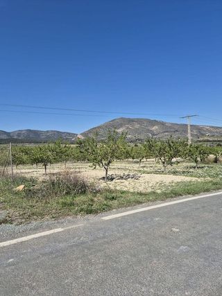 Terreno en venta en Mula