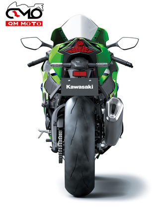 Kawasaki ZX-10R Verde (Nueva)