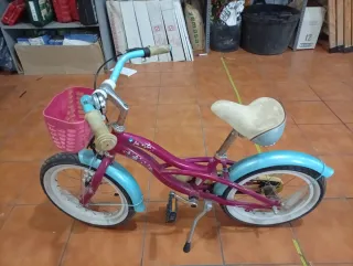 Bicicleta infantil morada y azul
