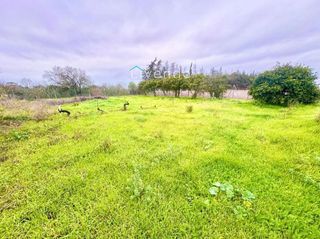 Chalet en venta en Núcleo Urbano en Chiclana de la Frontera