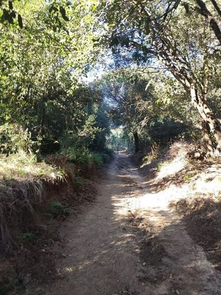 Terreno en venta en Arenys de Mar