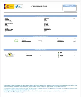 Informe DGT Coche al instante - Evita estafas