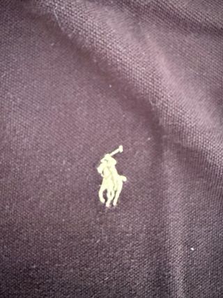 Polo Ralph Lauren marrone taglia L