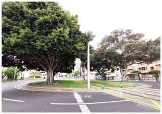 Oficina en alquiler en La Salud - Perú - Buenavista en Santa Cruz de Tenerife