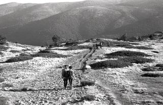 Cámara analógica Cosina CT1 Super