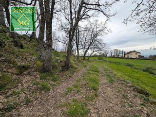 Terreno en venta en Candeleda