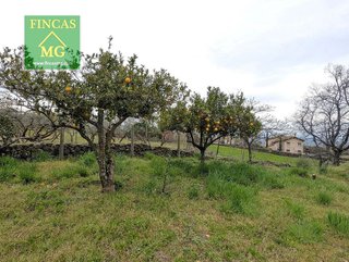 Terreno en venta en Candeleda