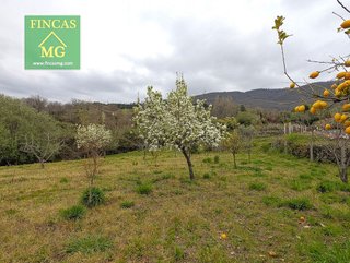 Terreno en venta en Candeleda