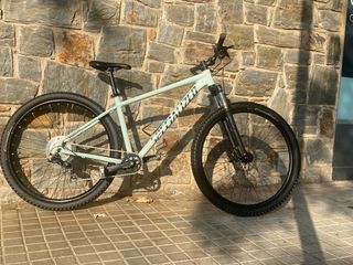 Bicicleta specialized 29