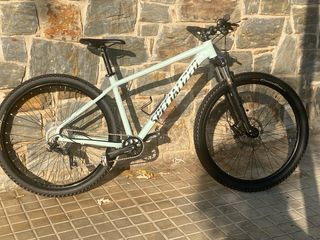 Bicicleta specialized 29