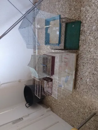 Jaulas para pájaros