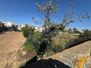 Terreno en venta en Almunia de Doña Godina (La)