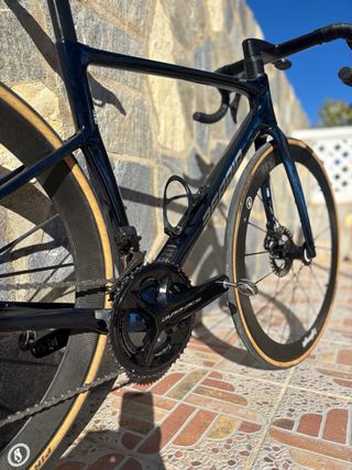 Berria Belador Br Talla S