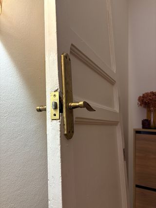 Puerta Finca Regia Madera Maciza 245cm