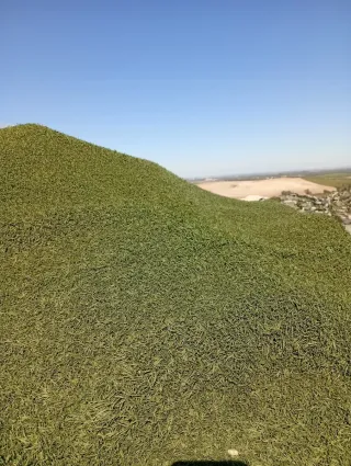 Césped artificial