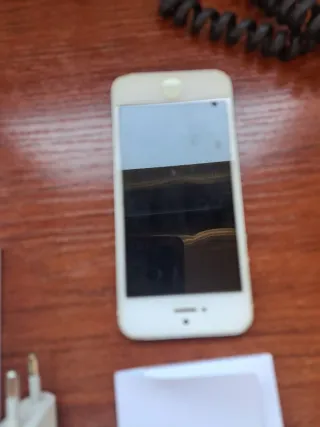 iPhone 5 Blanco y Plateado