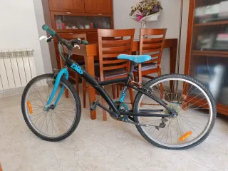 Bicicleta infantil negra y azul