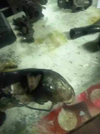 Catalizador Peugeot Citroen 2.0