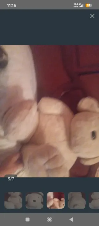 Peluche Perro Grande