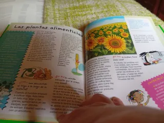La Naturaleza/ The Nature: Para Responder a Las...
