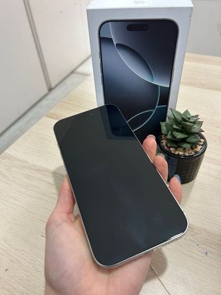 iPhone 16 Pro Max 256GB bateria 100%