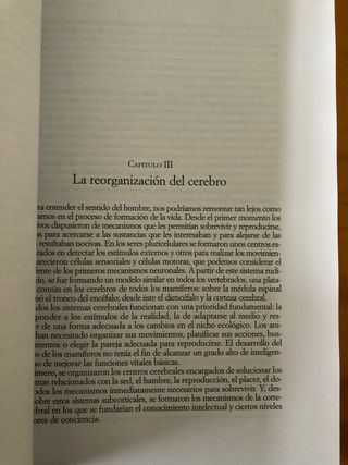El laberinto de la hominización El origen del l...