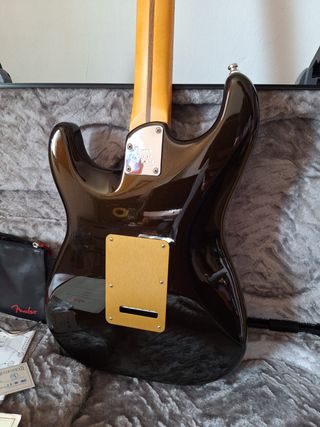 Fender Stratocaster American Ultra 2023 Texas Tea