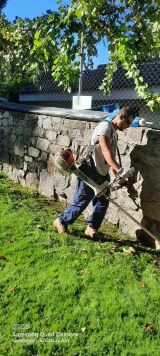 Servicio de jardinería por horas